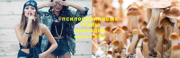 кристаллы Горняк